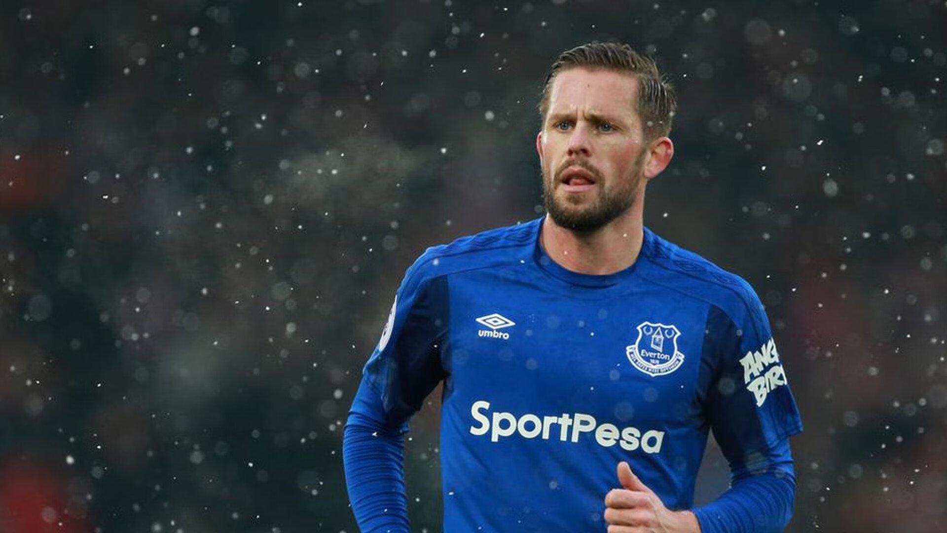 医疗团队是否对战绩起决定性作用,医疗团队的特性